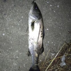 まだまだ厳しいですね。