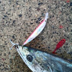 だいぶサイズが落ちてきた