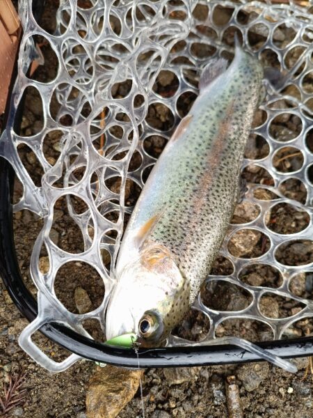 人生初の管理釣り場