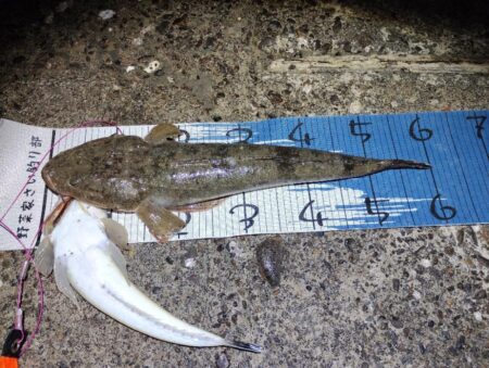 自己新更新。シーバス狙いやけど