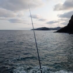 産卵前の荒食い