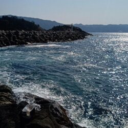 まだ夜釣りは、早いかな。