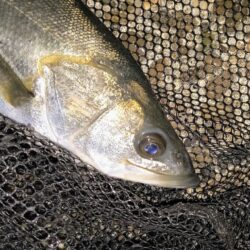 冷たい強風の中⋯