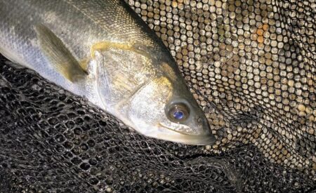 冷たい強風の中⋯