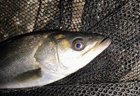 もうちょっと風が弱まって欲しい所