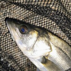 ダウンクロスで狙うのが◎