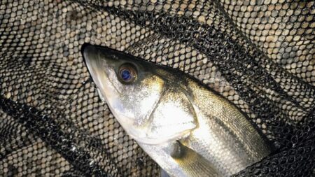 ダウンクロスで狙うのが◎