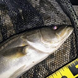 タイミングが悪くても⋯