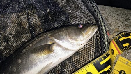 タイミングが悪くても⋯