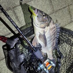 よなよなチニング