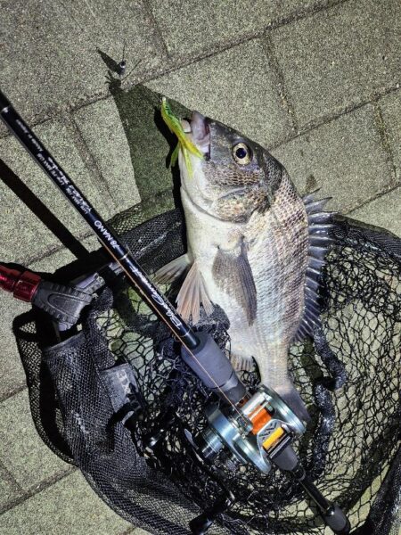 よなよなチニング