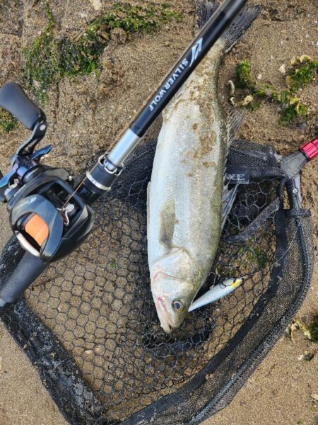 しごおわチニング