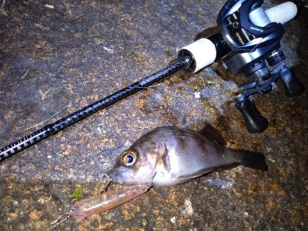 ベイトでメバリング