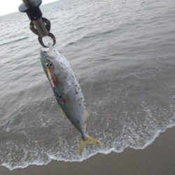 好調サーフのはず