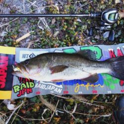 2026年春バス開幕！