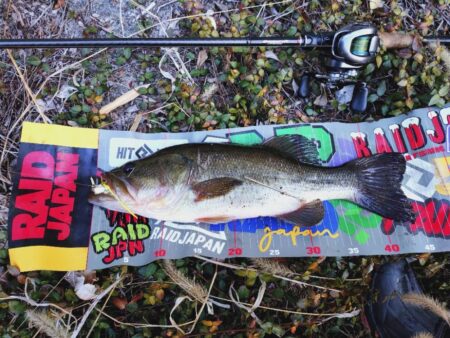 2026年春バス開幕！