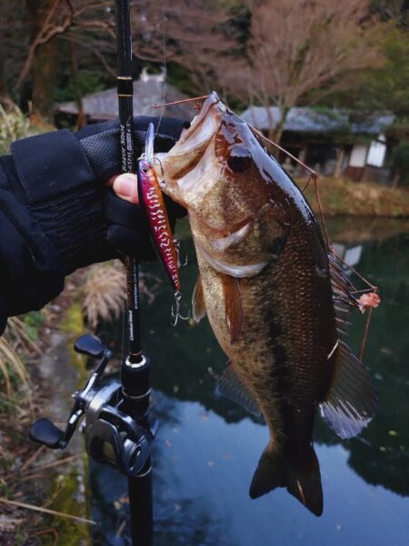 ジャークジャーク