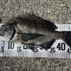 イチノ兄弟、釣果！