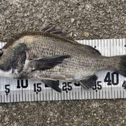 イチノ兄弟、釣果！