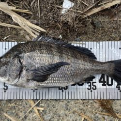 イチノ兄弟、釣果！