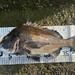 イチノ兄弟、釣果！