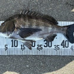 イチノ兄弟、釣果！