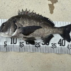 イチノ兄弟、釣果！