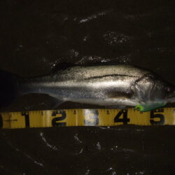 流れの効くタイミング