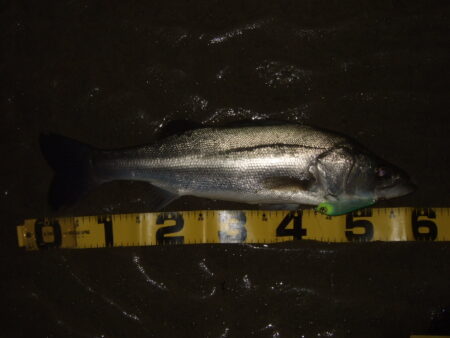 流れの効くタイミング