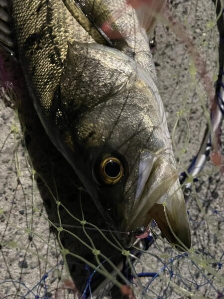 爆風ライトゲーム