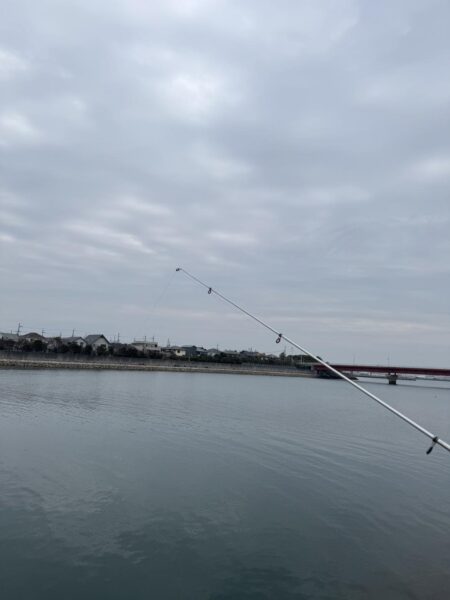 ここでも釣れる