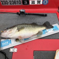 今シーズン1号北山田60cm4100g