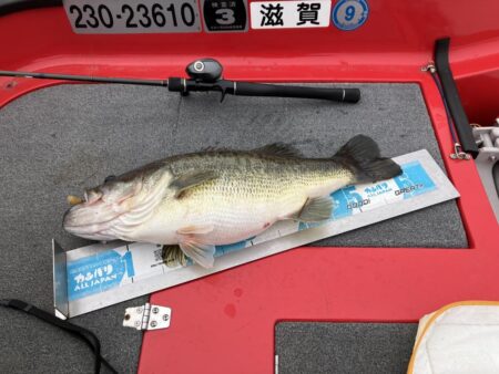 今シーズン1号北山田60cm4100g