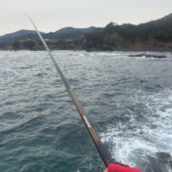 初めての磯釣り