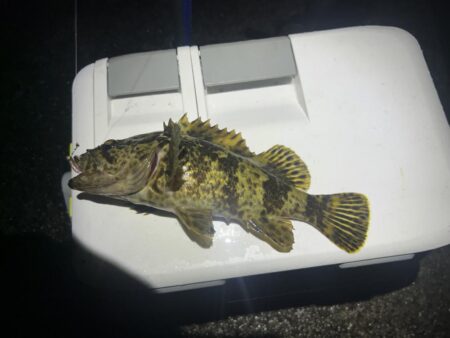 フロートメバリング