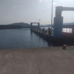 満員御礼サビキ釣り