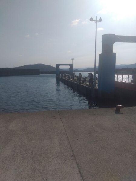 満員御礼サビキ釣り