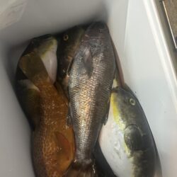 日本海ジギング