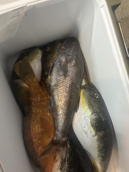 日本海ジギング