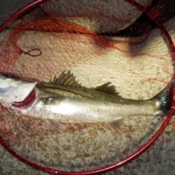 ちょっと聞いて！めちゃ嬉しい‼60・66‼…