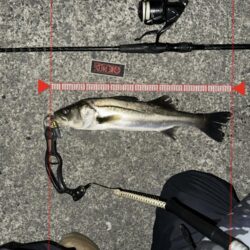 遠距離砲でのボトムドリフト!