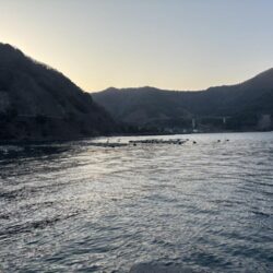 エギ王K 軍艦グリーン