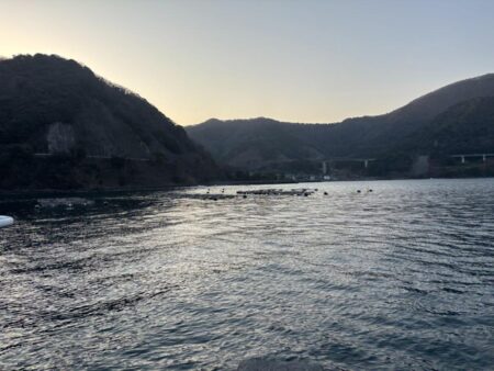 エギ王K 軍艦グリーン