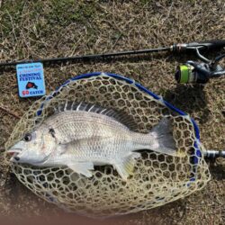 ハゼクラロッドで…