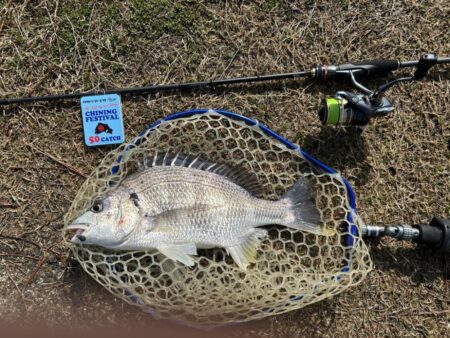 ハゼクラロッドで…