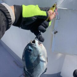 旬のグレジギング!