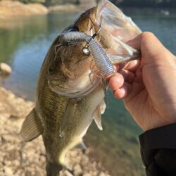 プリスポーン⁉️