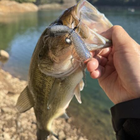 プリスポーン⁉️