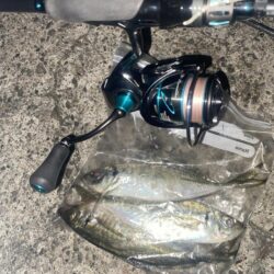 エギングロッドでアジング