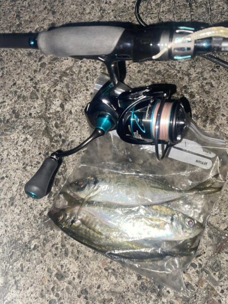 エギングロッドでアジング